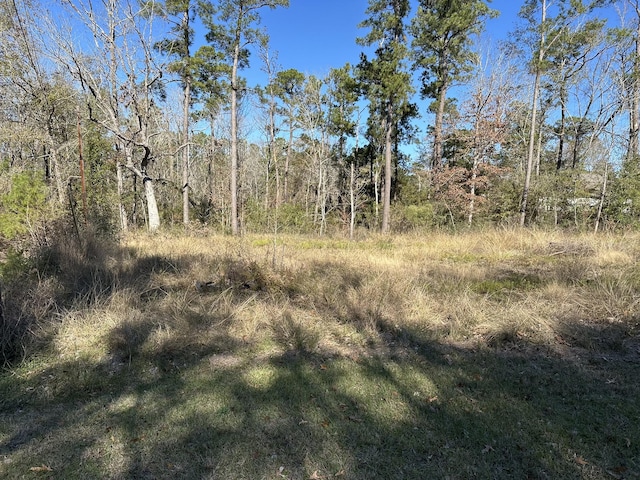 Listing photo 2 for Tbd Fir, Livingston TX 77351