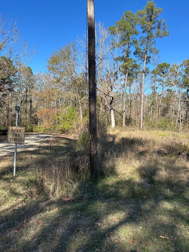 Listing photo 3 for Tbd Fir, Livingston TX 77351