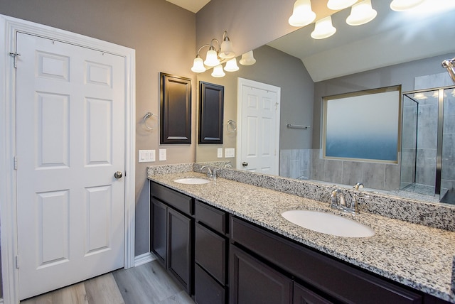 bathroom featuring a shower with door, vanity, and wood-type flooring