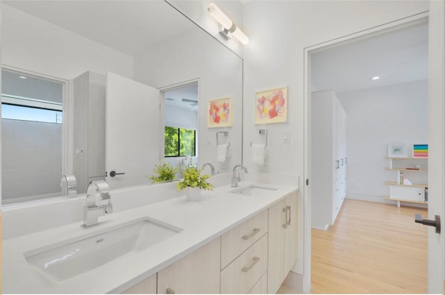 bathroom featuring hardwood / wood-style floors and vanity