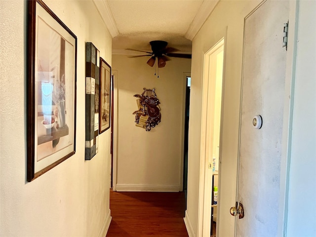 corridor featuring dark hardwood / wood-style flooring, a textured ceiling, and crown molding