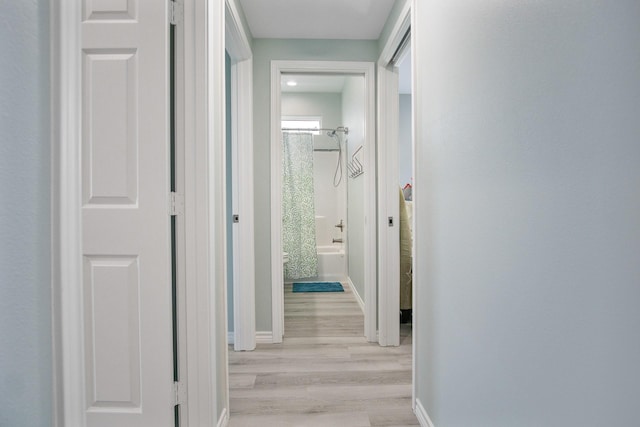 corridor with light hardwood / wood-style flooring