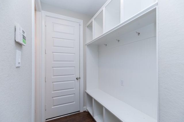 mudroom featuring dark wood-type flooring