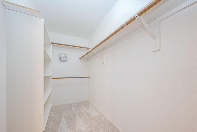 walk in closet with light colored carpet