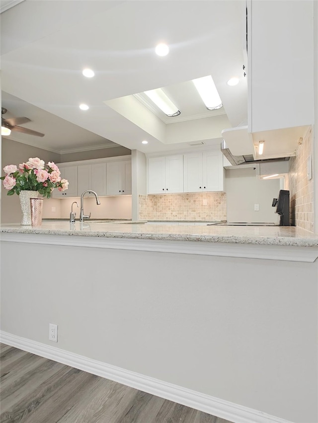 kitchen with white cabinetry, light stone counters, dark hardwood / wood-style floors, backsplash, and ornamental molding