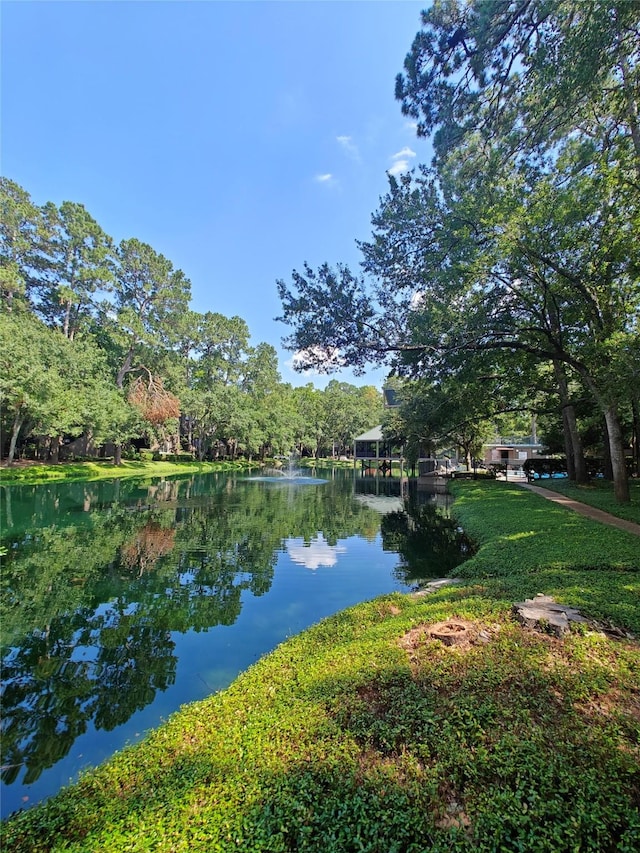 view of water feature