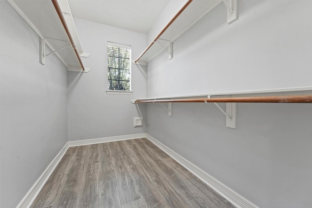 walk in closet featuring hardwood / wood-style floors