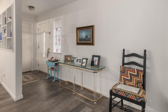 entryway featuring dark wood-type flooring