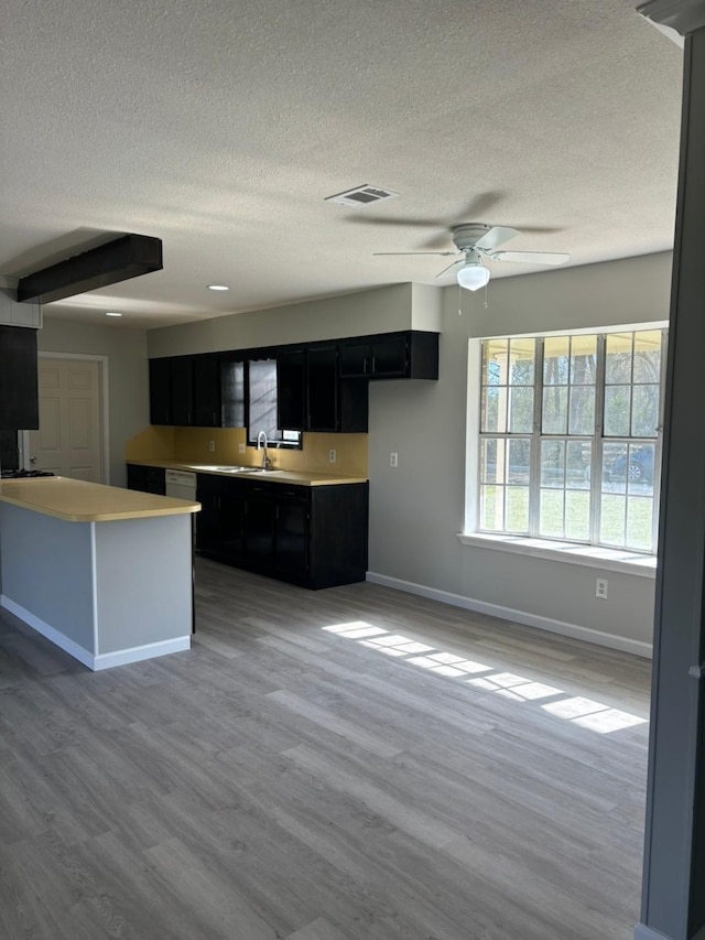 kitchen featuring a textured ceiling, ceiling fan, light hardwood / wood-style floors, and sink