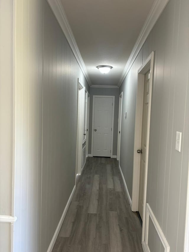 corridor with a textured ceiling, dark hardwood / wood-style flooring, and ornamental molding