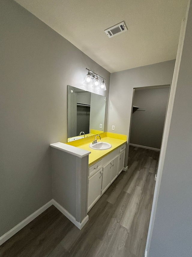 bathroom featuring hardwood / wood-style floors and vanity