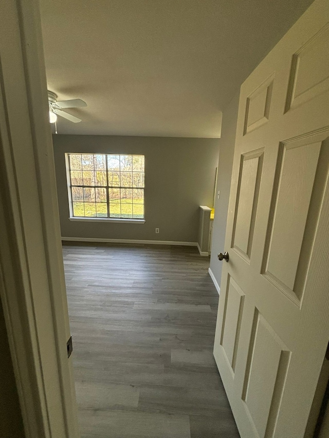 spare room with ceiling fan and wood-type flooring