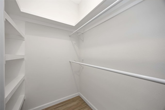 walk in closet with hardwood / wood-style flooring