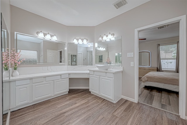 bathroom with vanity and wood-type flooring