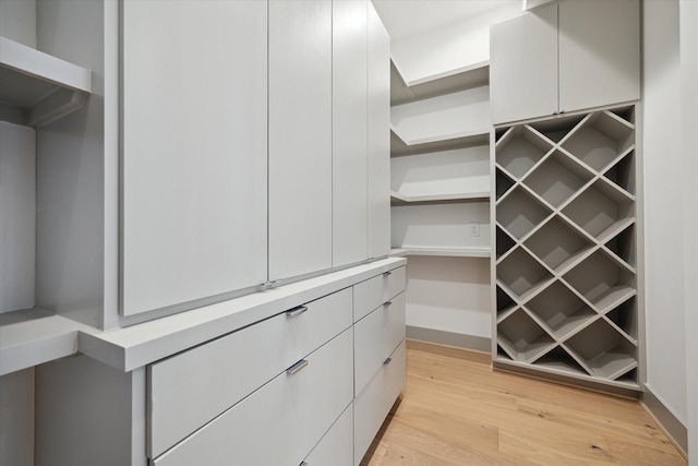 spacious closet featuring light wood-type flooring