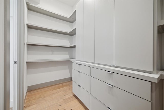 spacious closet featuring light wood-type flooring