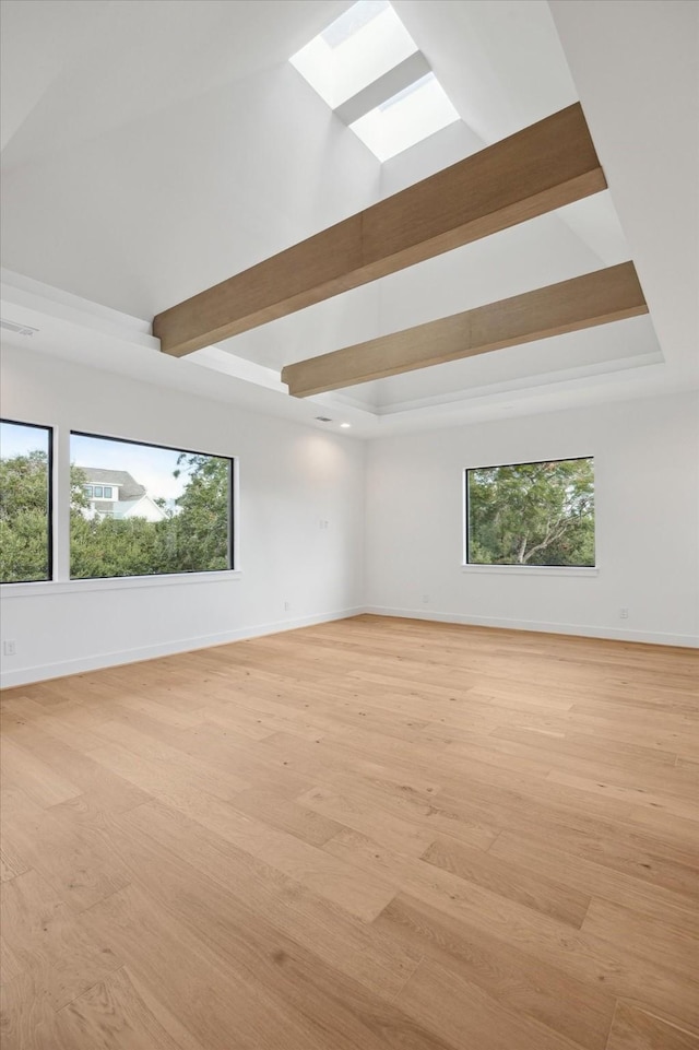 empty room featuring light hardwood / wood-style flooring, a wealth of natural light, and a raised ceiling