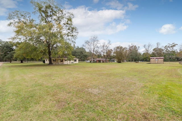 view of yard