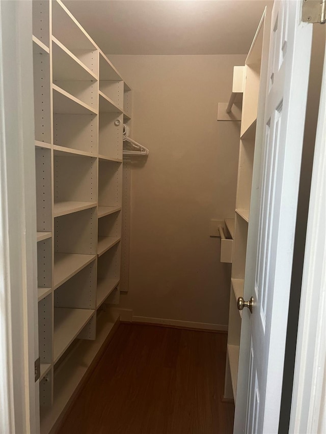 spacious closet featuring dark wood-type flooring