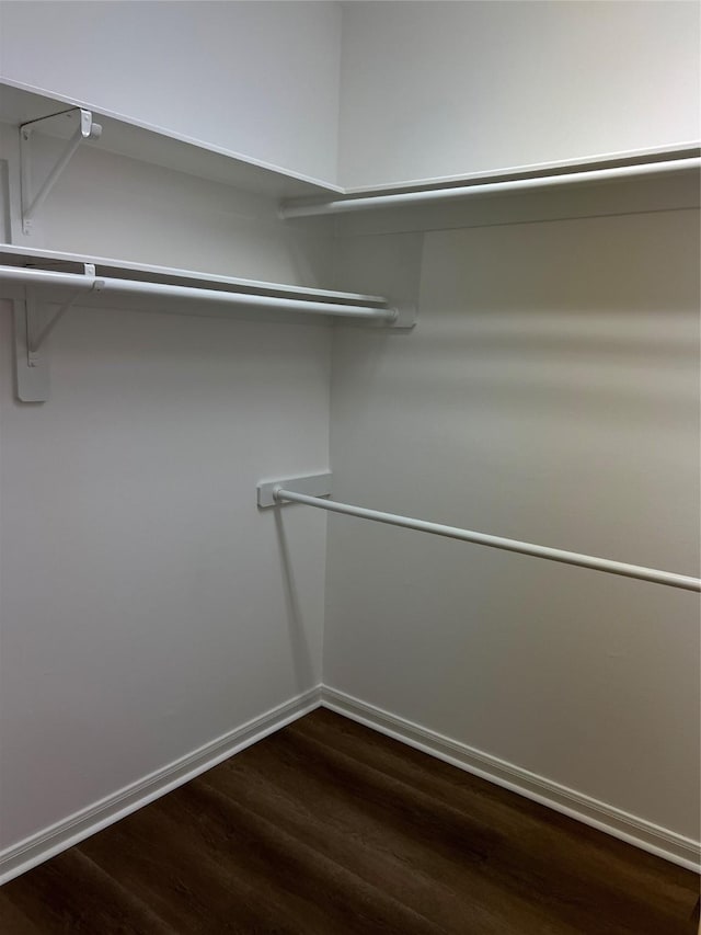 walk in closet with hardwood / wood-style floors