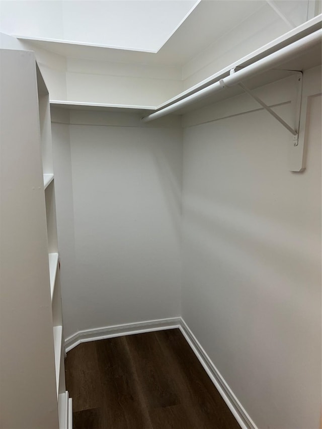 walk in closet with hardwood / wood-style flooring