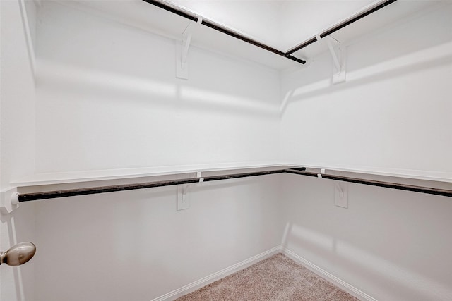 spacious closet featuring carpet flooring