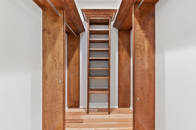 walk in closet featuring wood finished floors