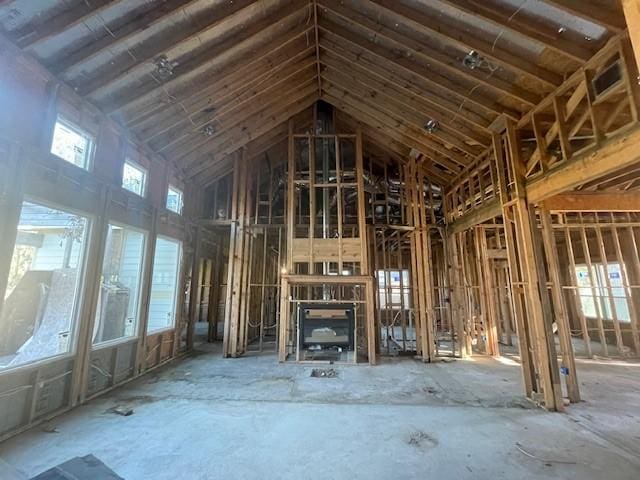 miscellaneous room with high vaulted ceiling