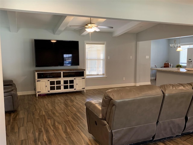 living room featuring dark hardwood / wood-style floors, beamed ceiling, and ceiling fan with notable chandelier