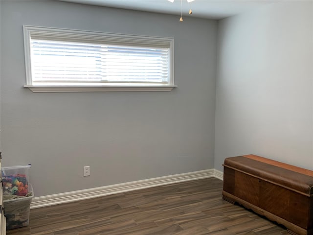 interior space featuring dark wood-type flooring