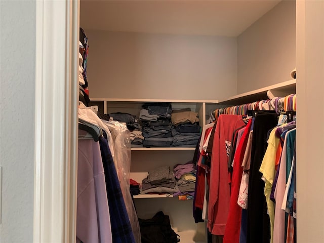 view of walk in closet