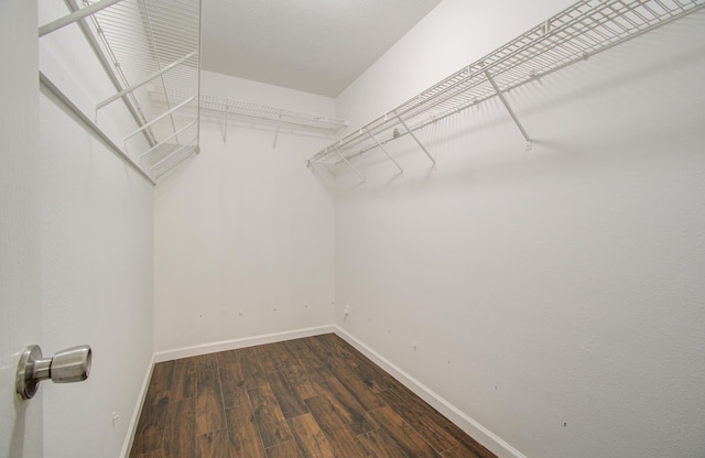 walk in closet with dark wood-type flooring