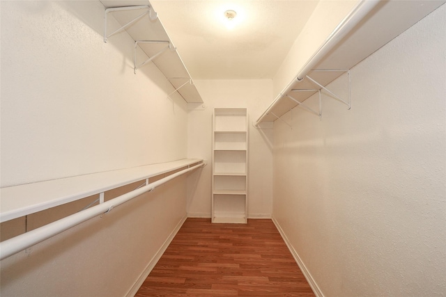 spacious closet with hardwood / wood-style flooring