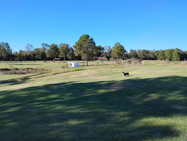 view of property's community featuring a lawn and a rural view