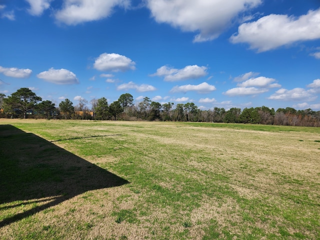 view of yard featuring a rural view