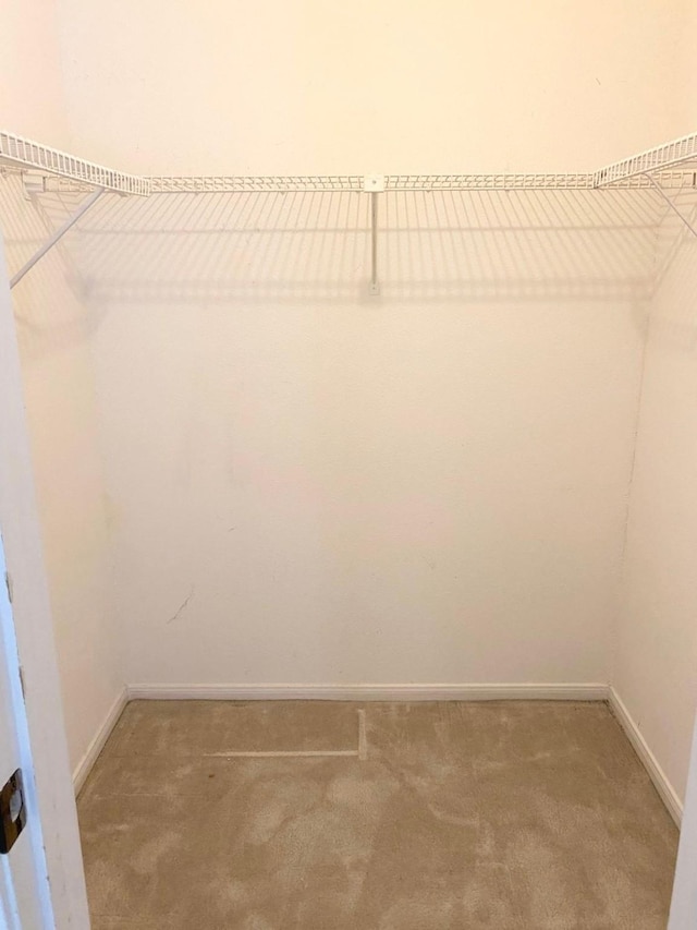 spacious closet with carpet flooring