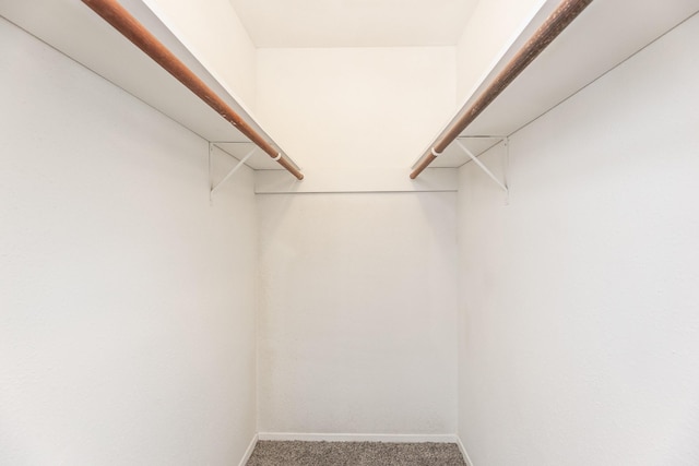 spacious closet with carpet flooring