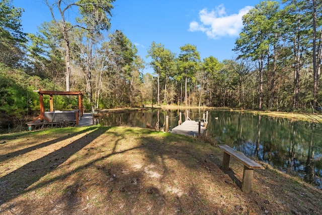 15901 Butera Rd, Magnolia TX, 77355 land for sale