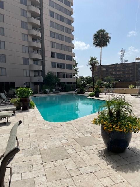 view of swimming pool with a patio