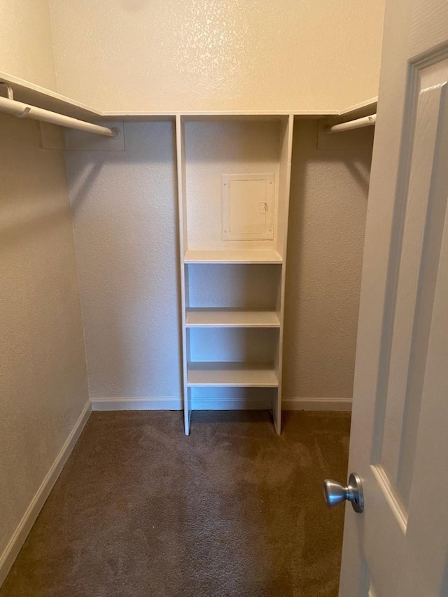 spacious closet featuring dark carpet