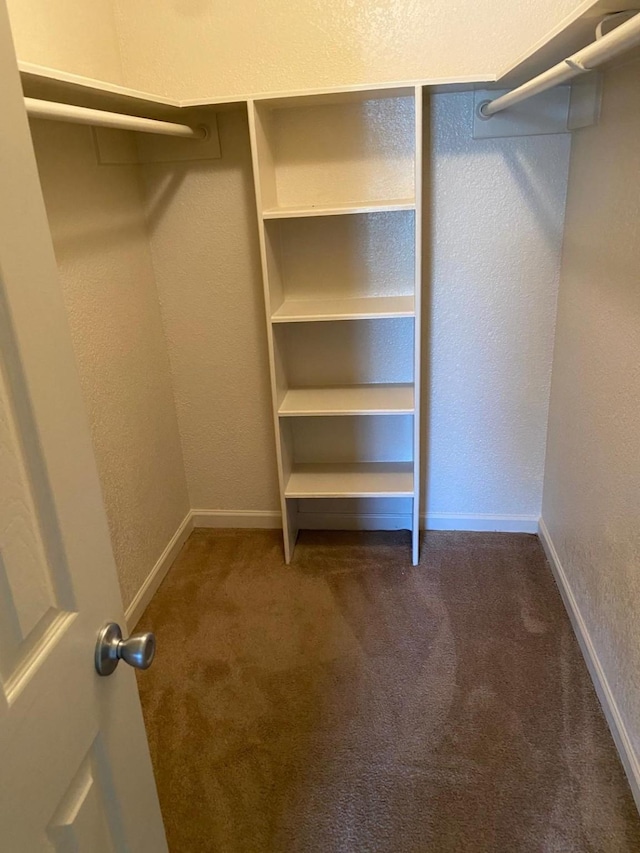 walk in closet with dark colored carpet