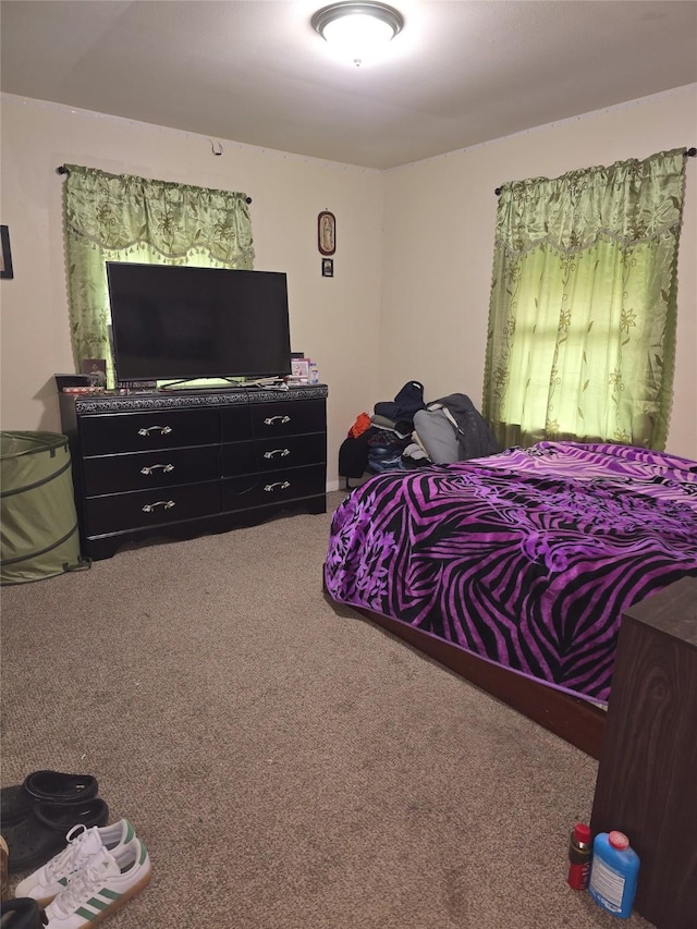 bedroom featuring carpet floors