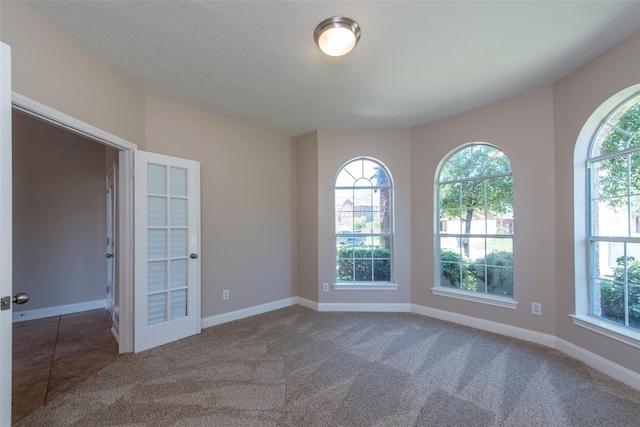 unfurnished room with carpet flooring