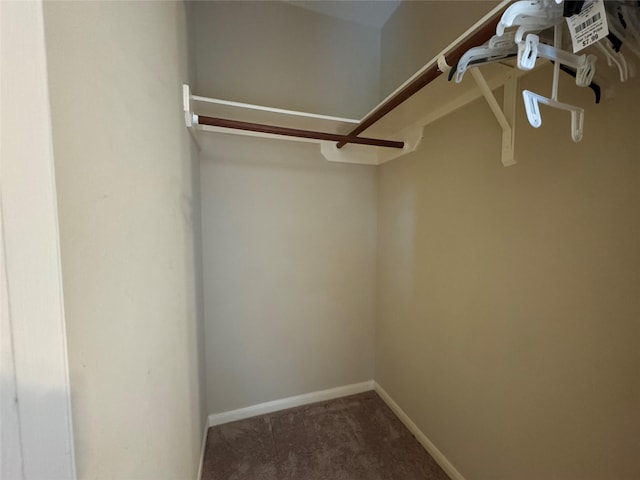 spacious closet with carpet floors