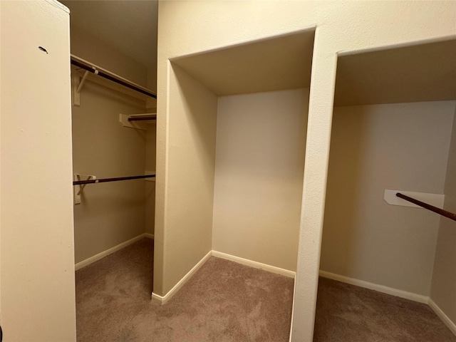 walk in closet with carpet floors