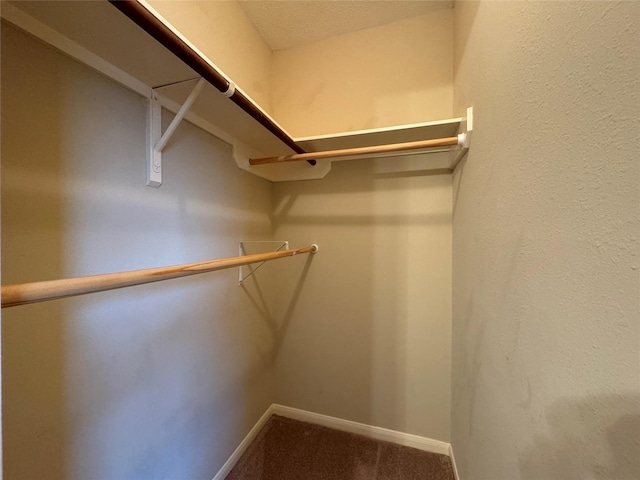 spacious closet with carpet