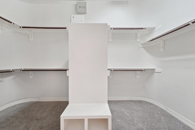 spacious closet with carpet floors