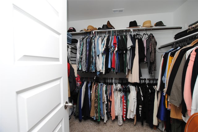 spacious closet with carpet flooring