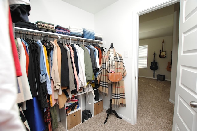 spacious closet featuring carpet