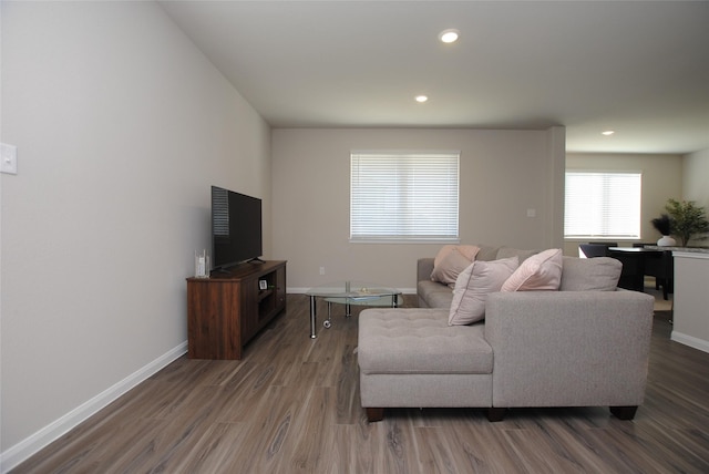 living room with dark hardwood / wood-style floors